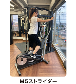 ｍ５ストライダー